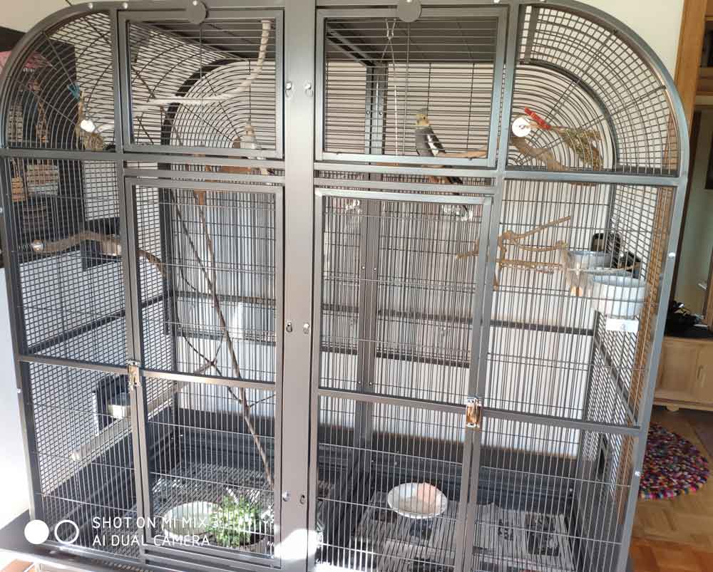 Leistungen Die Vogelpension